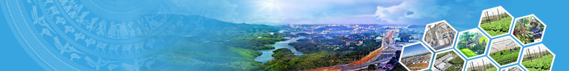 anh banner